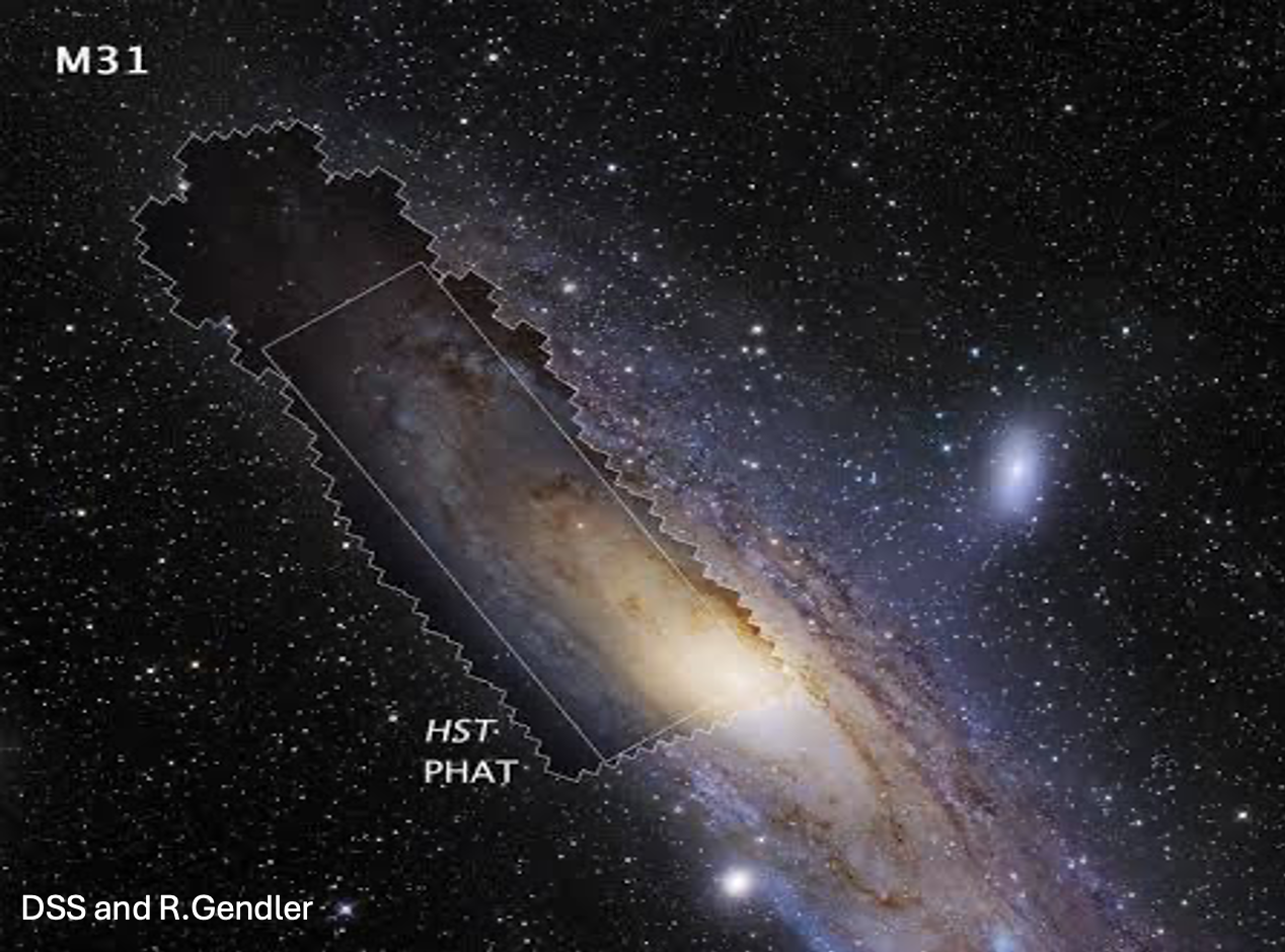 Mosaic of the Panchromatic Hubble Andromeda Treasury (PHAT) survey footprint across the disk of M31.
